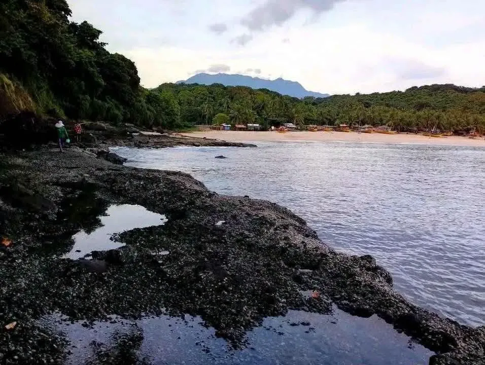 Tour 4 — Sunset + Cliff Jump Premium Charter