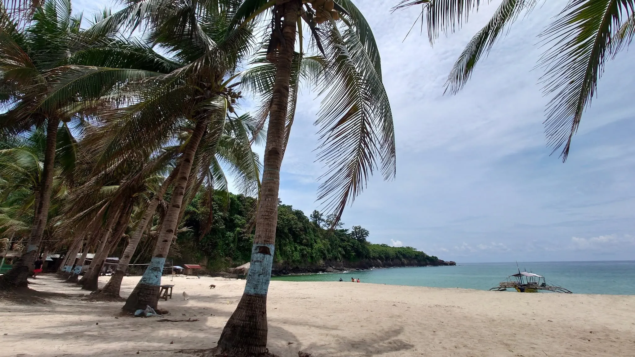 Tour 4 — Sunset + Cliff Jump Premium Charter